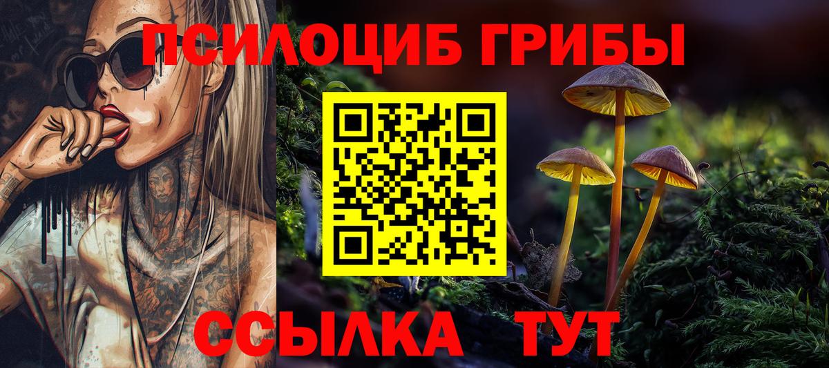 Галлюциногенные грибы Magic Shrooms  Вход с VPN  Псилоцибиновые грибы Cubensis  Углич 