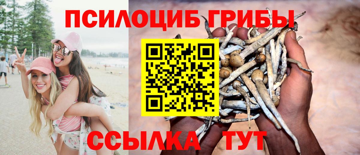 Галлюциногенные грибы GOLDEN TEACHER Углич